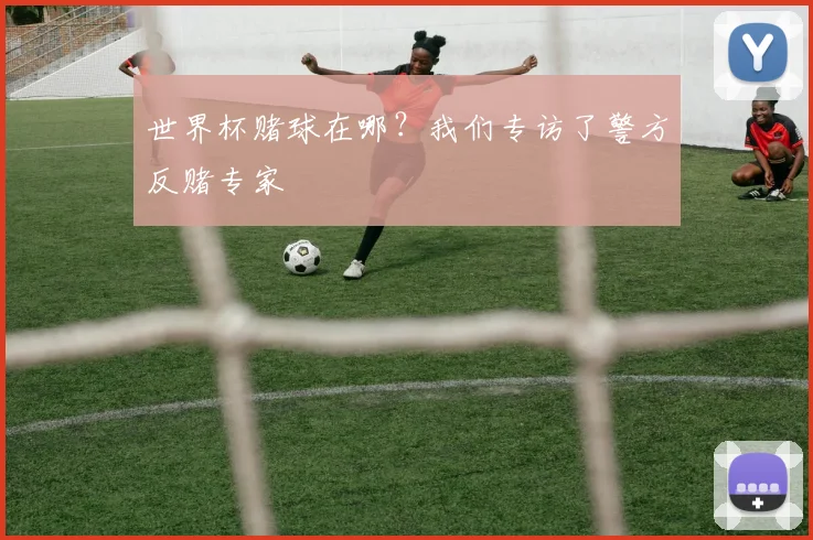 世界杯赌球在哪？我们专访了警方反赌专家