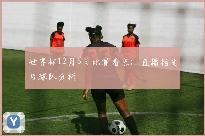 世界杯12月6日比赛看点：直播指南与球队分析
