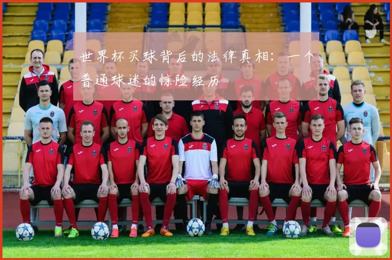 世界杯买球背后的法律真相：一个普通球迷的惊险经历