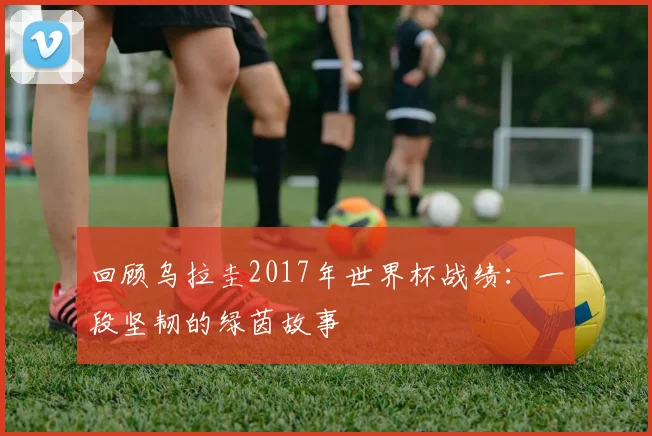 回顾乌拉圭2017年世界杯战绩：一段坚韧的绿茵故事