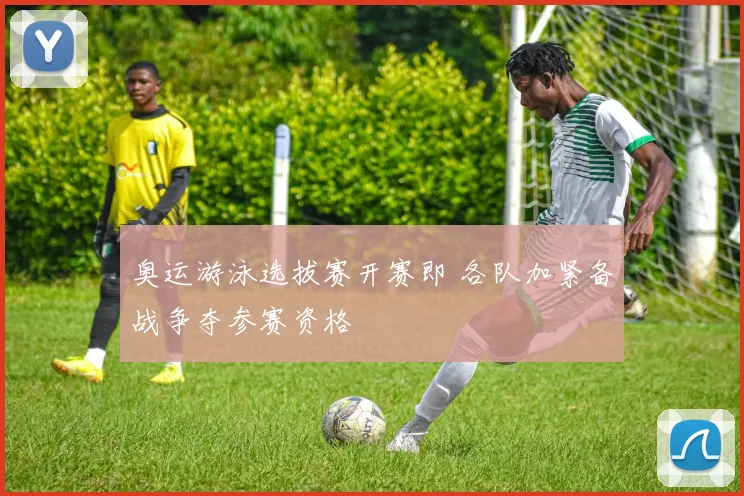奥运游泳选拔赛开赛即 各队加紧备战争夺参赛资格