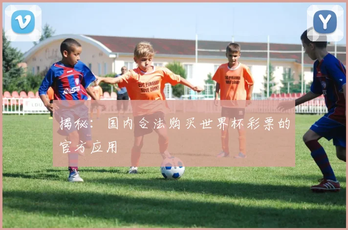 揭秘:国内合法购买世界杯彩票的官方应用