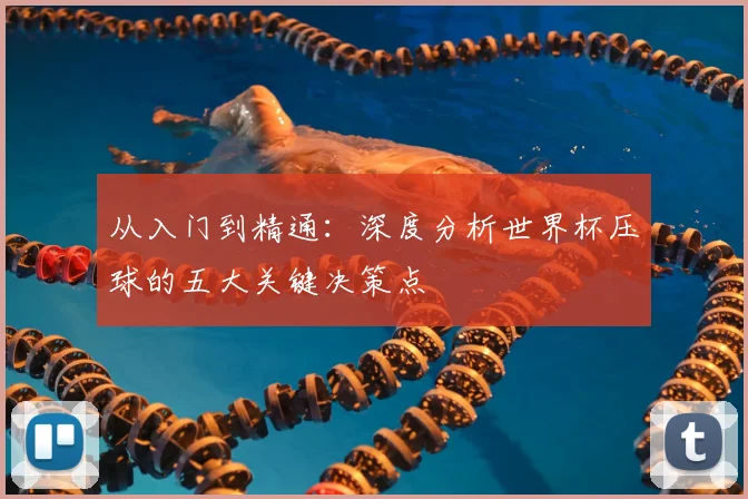 从入门到精通：深度分析世界杯压球的五大关键决策点