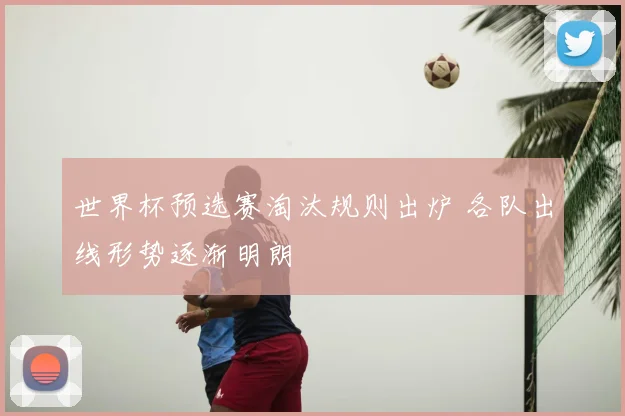 世界杯预选赛淘汰规则出炉 各队出线形势逐渐明朗
