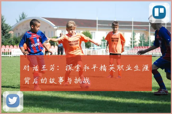 对话王芳:探索和平精英职业生涯背后的故事与挑战