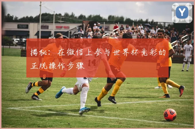 揭秘:在微信上参与世界杯竞彩的正规操作步骤