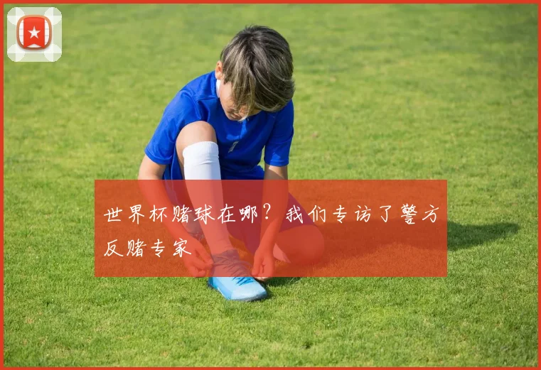 世界杯赌球在哪？我们专访了警方反赌专家