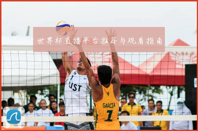 世界杯直播平台推荐与观看指南