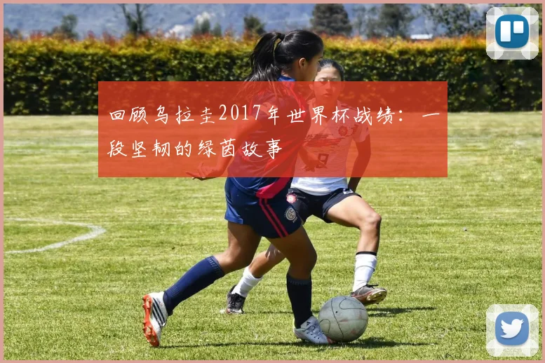 回顾乌拉圭2017年世界杯战绩：一段坚韧的绿茵故事