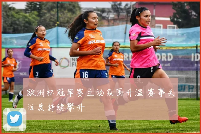 欧洲杯冠军赛主场氛围升温 赛事关注度持续攀升