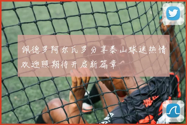 佩德罗阿尔瓦罗分享泰山球迷热情欢迎照期待开启新篇章