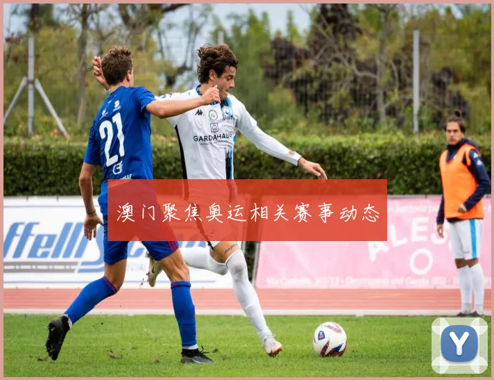 澳门聚焦奥运相关赛事动态